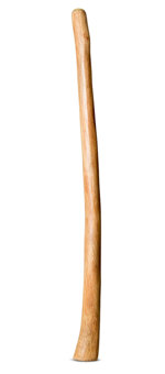 Medium Size Natural Finish Didgeridoo (TW1656)